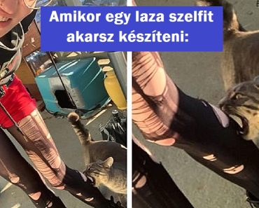 17 fotó, ami néhány másodperccel a káosz előtt készült