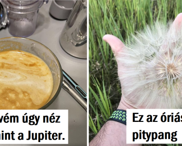 20 lenyűgöző fotó, amik bizonyítják, hogy a világegyetem mindig képes arra, hogy ámulatba ejtsen bennünket