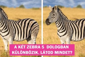 16 képes fejtörő, amely még a legnagyobb detektíveknek is feladja a leckét