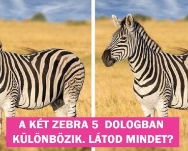 16 képes fejtörő, amely még a legnagyobb detektíveknek is feladja a leckét