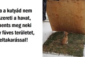 13 személy, akik rendkívül leleményes módon oldották meg az otthunkban felmerülő mindennapi problémákat