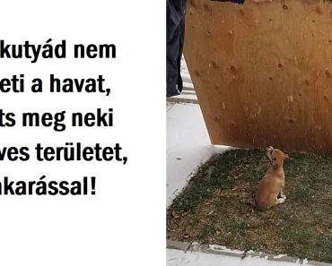 13 személy, akik rendkívül leleményes módon oldották meg az otthunkban felmerülő mindennapi problémákat