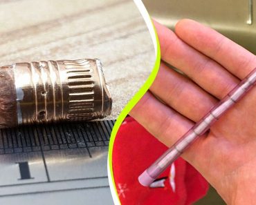 19 nosztalgikus kép, ami egyenesen az iskoláskorunkba repít vissza minket