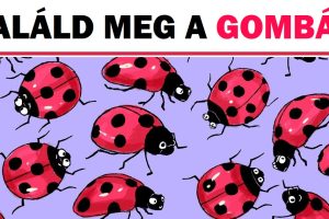 Teszt: Tudd meg, mennyire vagy figyelmes, azáltal hogy megtalálod a rejtett ábrákat ezeken a képeken.