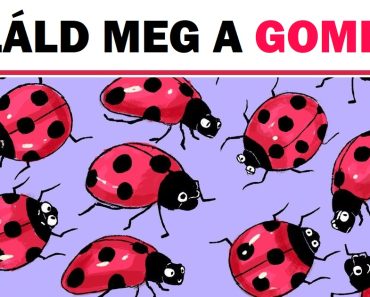Teszt: Tudd meg, mennyire vagy figyelmes, azáltal hogy megtalálod a rejtett ábrákat ezeken a képeken.