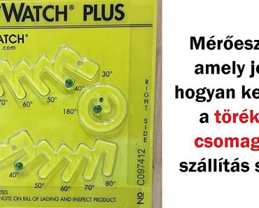 13 cég, akinek nem csak az a célja, hogy eladja a termékeit a vevőknek, hanem valóban odafigyel rájuk