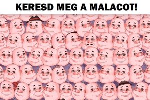 Találd meg a hibát 15 képen, és add meg az elmédnek a szükséges edzést