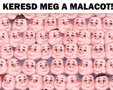 Találd meg a hibát 15 képen, és add meg az elmédnek a szükséges edzést