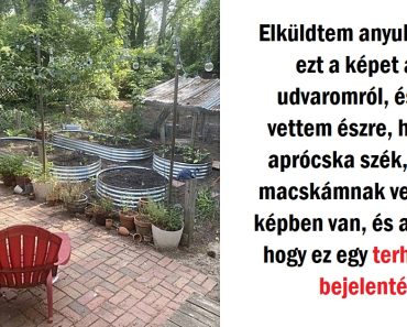 16 személy, akik csináltak egy hülyeséget és utólag csak nevetni tudnak az egészen