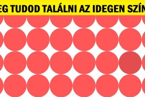 Kihívás: Csak a tökéletes színérzékeléssel rendelkezők képesek kiszúrni az idegen színeket