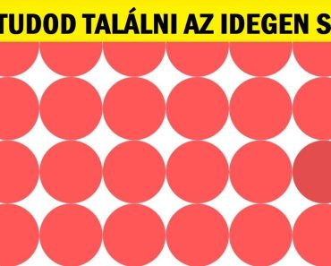 Kihívás: Csak a tökéletes színérzékeléssel rendelkezők képesek kiszúrni az idegen színeket