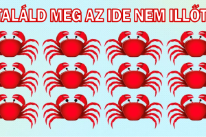 14 trükkös kép, ami teljes edzést ad az elmédnek