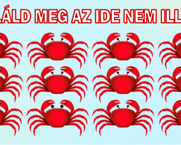 14 trükkös kép, ami teljes edzést ad az elmédnek