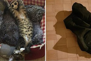 15 többarcú fénykép, amik úgy elgondolkodtattak bennünket, hogy nem volt elég egyszer megnézni őket