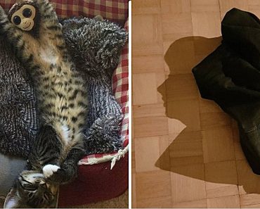 15 többarcú fénykép, amik úgy elgondolkodtattak bennünket, hogy nem volt elég egyszer megnézni őket