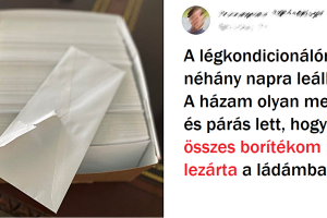 20+ személy, akiknek a napja olyannyira félrement, hogy csak nevetni tudtak az egészen