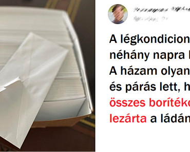 20+ személy, akiknek a napja olyannyira félrement, hogy csak nevetni tudtak az egészen