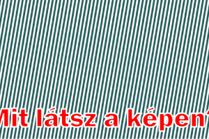 12 optikai illúzió rejtett állatokkal, hogy ellenőrizd a látásod (tipp: hunyoríts)