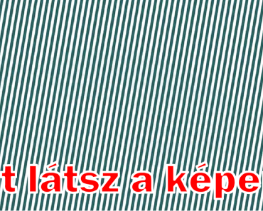 12 optikai illúzió rejtett állatokkal, hogy ellenőrizd a látásod (tipp: hunyoríts)