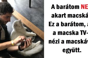 20 kiskedvenc-szülő és „csemetéje”, akik káprázatosan oda vannak egymásért