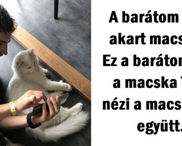 20 kiskedvenc-szülő és „csemetéje”, akik káprázatosan oda vannak egymásért