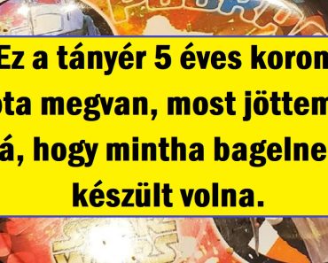 15 fotó, amelyet látva az jut eszünkbe, mintha épp elkészülnénk egy keresztrejtvénnyel