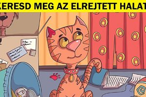 Találd meg az oda nem illő dolgot ezen a 15 fényképen, és tornáztasd meg az elméd a sikerért