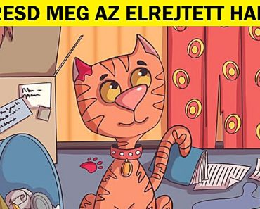 Találd meg az oda nem illő dolgot ezen a 15 fényképen, és tornáztasd meg az elméd a sikerért