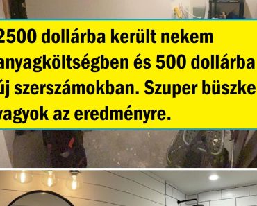 15+ személy, aki elég kitartó volt ahhoz, hogy végig vigye a tervét, és elkészítse produktumát