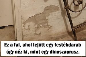 15 tárgy, amely teljesen más, mint amire az agyunk gondol elsőre