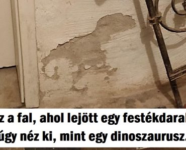 15 tárgy, amely teljesen más, mint amire az agyunk gondol elsőre