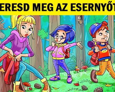 Ellenőrizd, mennyire vagy gyors: Keresd meg a rejtett dolgokat ezen a 14 fényképen!