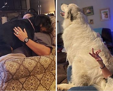 20 ennivaló „kisfiú”, aki nem akar felnőni, bármekkora is legyen