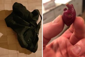 15+ elvetemült tárgy, amelyről azt gondoltuk, hogy egészen más