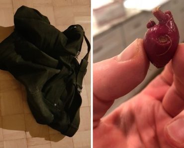 15+ elvetemült tárgy, amelyről azt gondoltuk, hogy egészen más