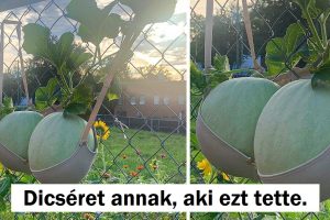 17 ember, aki nem hagyta, hogy egy probléma az útjába álljon