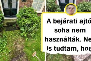 Az emberek megosztottak 20+ képet, hogy megmutassák, a jó tisztítás ereje csodákra képes