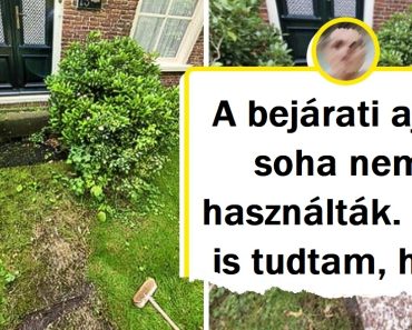 Az emberek megosztottak 20+ képet, hogy megmutassák, a jó tisztítás ereje csodákra képes