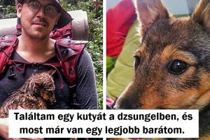 19 személy, aki megmutatta nekünk, hogy a szerencse bármikor utolérhet bennünket