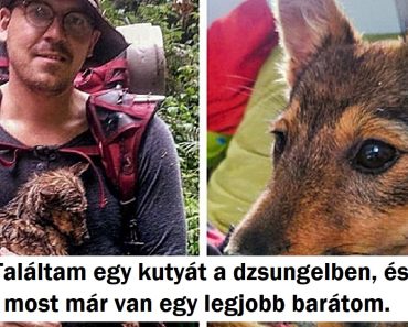 19 személy, aki megmutatta nekünk, hogy a szerencse bármikor utolérhet bennünket