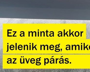 15 egyén, akinek nem kellett kimenni az otthonából, hogy aranybányára bukkanjon