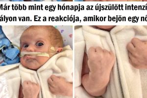 15 erős ember, aki akkor sem adja fel, ha bekövetkezik az Armageddon