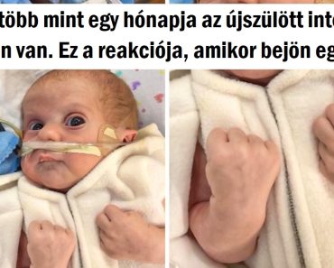15 erős ember, aki akkor sem adja fel, ha bekövetkezik az Armageddon