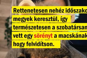 15 kitűnő memoár, hogy mindig lesz, akire számíthatsz ebben a világban