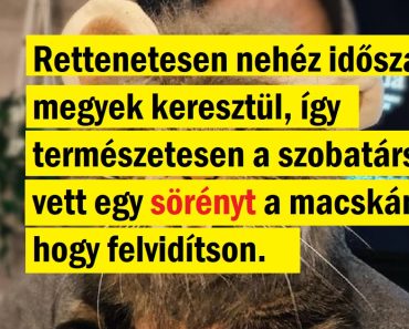 15 kitűnő memoár, hogy mindig lesz, akire számíthatsz ebben a világban