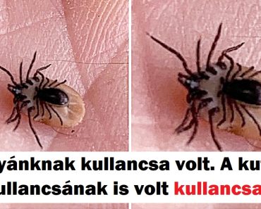 20+ személy, akik olyan dolgot láttak, amelyet nem tudtak hova tenni első látásra