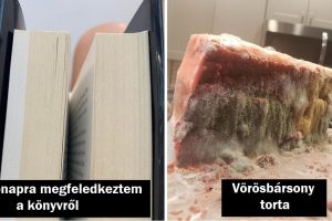 20+ fénykép, ami bemutatja, hogy mi lesz azokkal a dolgokkal, amikről elfelejtkeznek