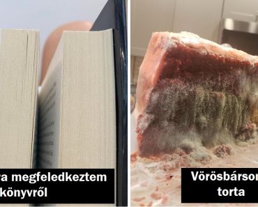 20+ fénykép, ami bemutatja, hogy mi lesz azokkal a dolgokkal, amikről elfelejtkeznek