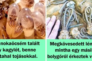 15 ember megmutatta nekünk az élet egy másik oldalát, amit nem mindenki látott