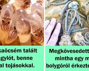 15 ember megmutatta nekünk az élet egy másik oldalát, amit nem mindenki látott
